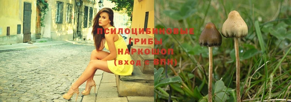 эйфоретик Куйбышев