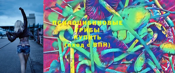 трава Краснослободск