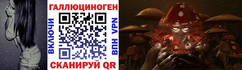 Купить где  Тайшет  Галлюциногенные грибы мухоморы 